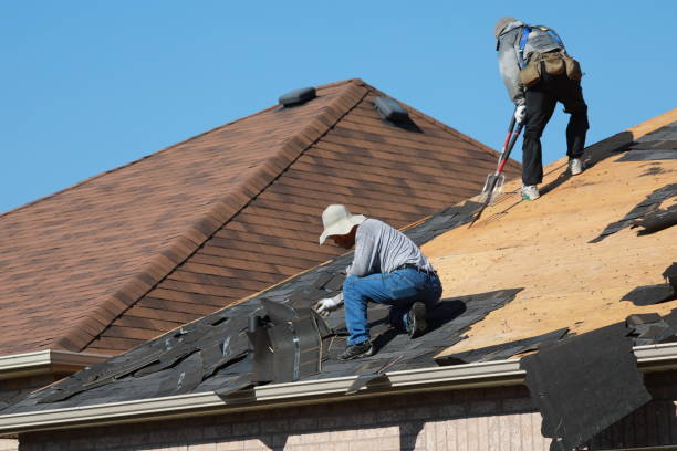 Best Roof Ventilation Installation  in Hugo, MN