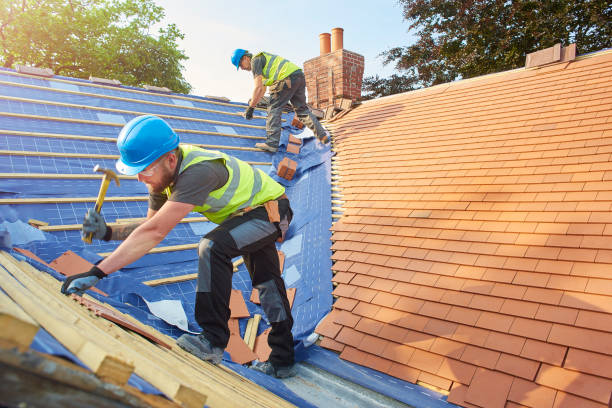 Best Roof Insulation Installation  in Hugo, MN